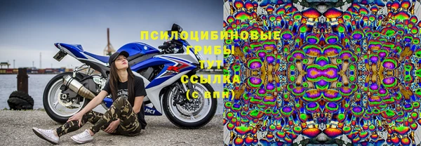 гашиш Арсеньев