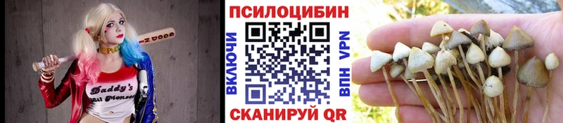Галлюциногенные грибы мицелий  Игра 